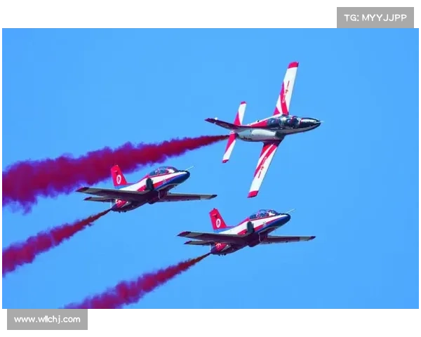 安装鹰击长空1中文版的三种最佳方法详细指南及操作步骤