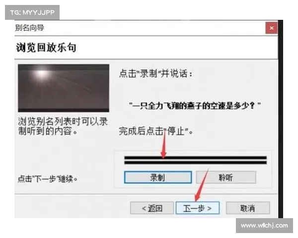 MorphVox Pro语音变换软件详细操作指南