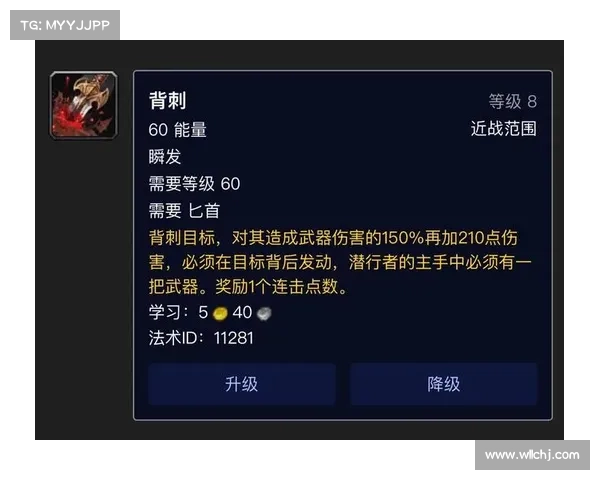 刺客职业装备搭配与技能提升全攻略提升战斗力的关键技巧