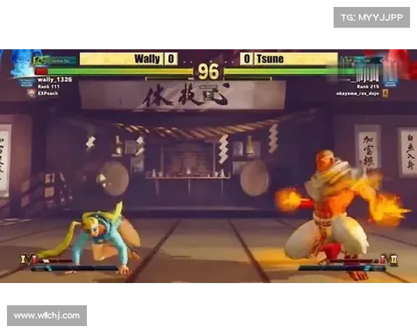 如何在街霸中掌握新角色极限玩法提升战斗技巧和策略运用 如何在街霸中掌握新角色极限玩法提升战斗技巧和策略运用