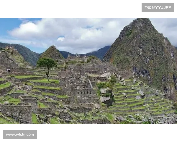 黄金甲之谜究竟是什么揭开古代文明失落的神秘面纱