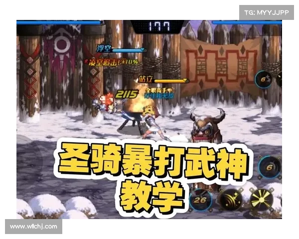 DNF圣骑士加点全攻略深入解析打造最强辅助与输出双修战力秘籍