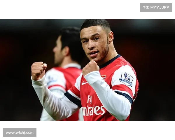 张伯伦在球场上扮演的多重角色与其技术特点的全面解析