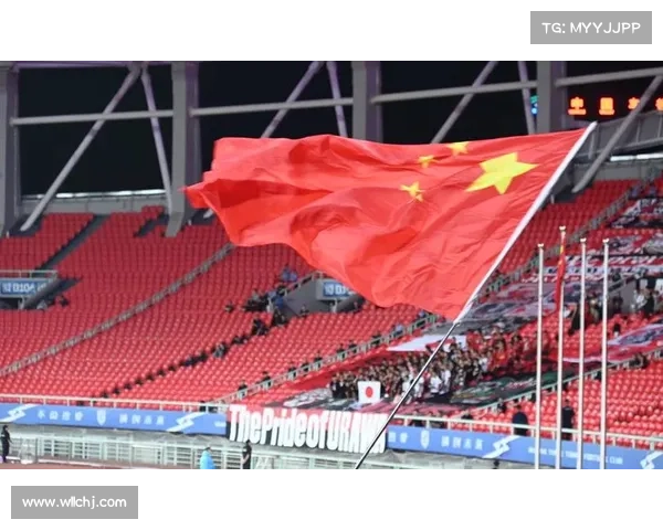 揭示浦和红钻亚冠制胜的五大关键动力深度全景全面路径剖析篇