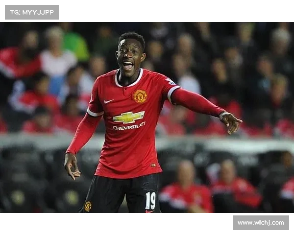 揭秘维尔贝克为何被誉为黑贝及其背后的深层原因