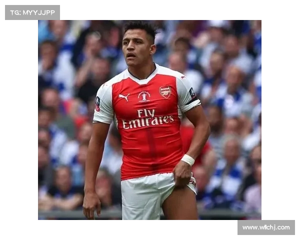 桑切斯加盟后的表现分析与球队整体战绩变化探讨 桑切斯加盟后的表现分析与球队整体战绩变化探讨