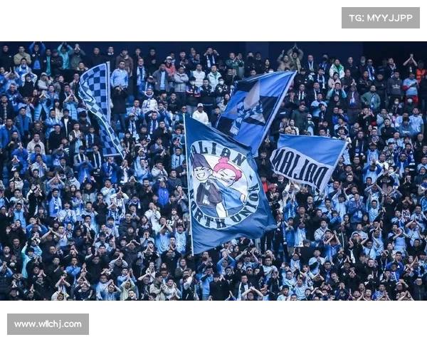 大连英博面临挑战与展现希望的赛季分析与未来展望