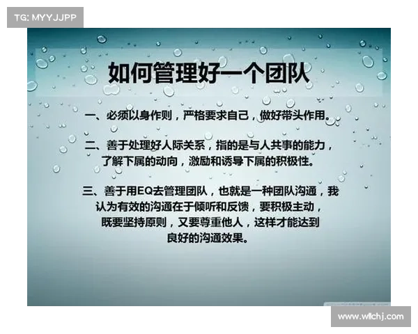 如何深入了解斯坦福桥背后的管理团队与组织结构